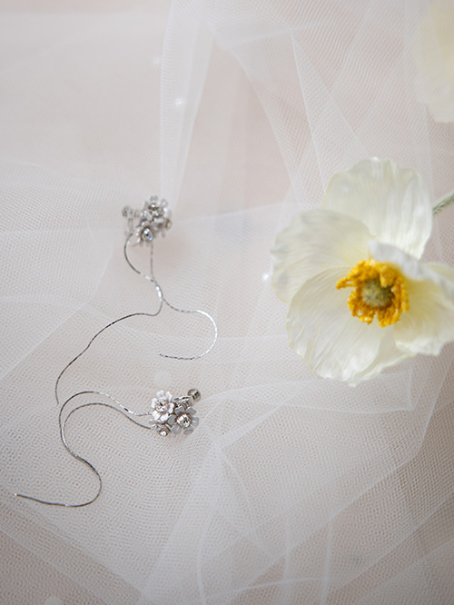 NOA0014_silver
