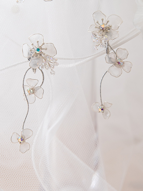NOA0022_silver